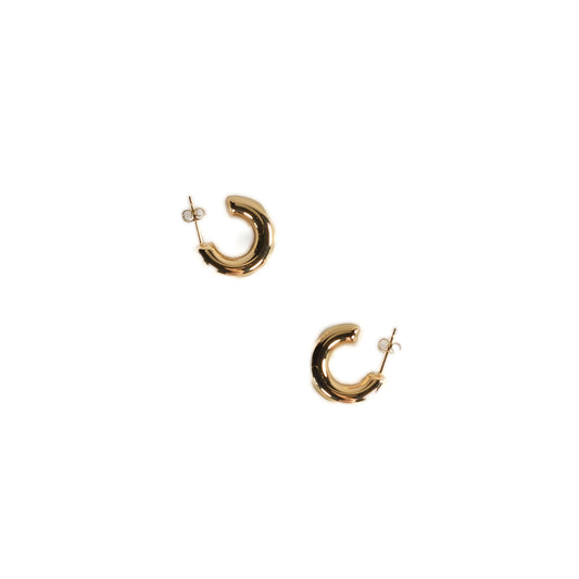 Arya Medium Plain Loops Earrings