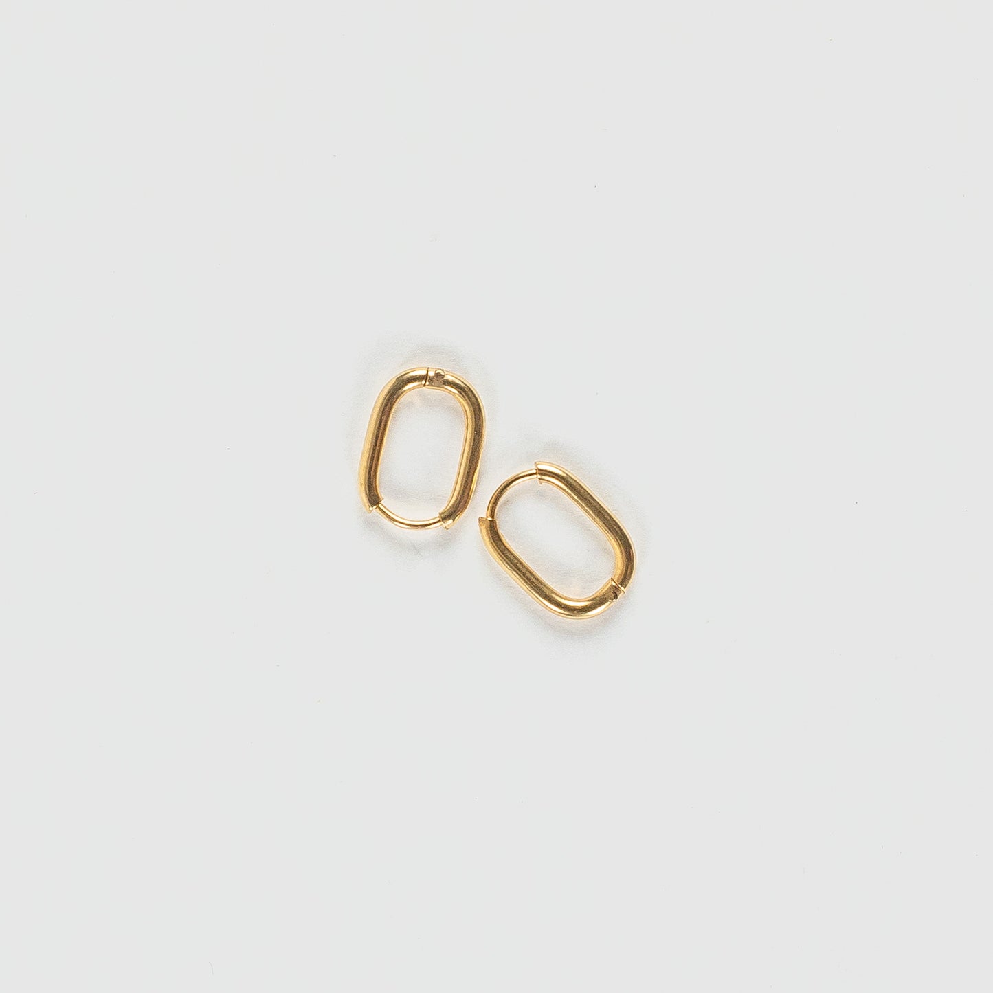 Lila Small Hoop Earrings