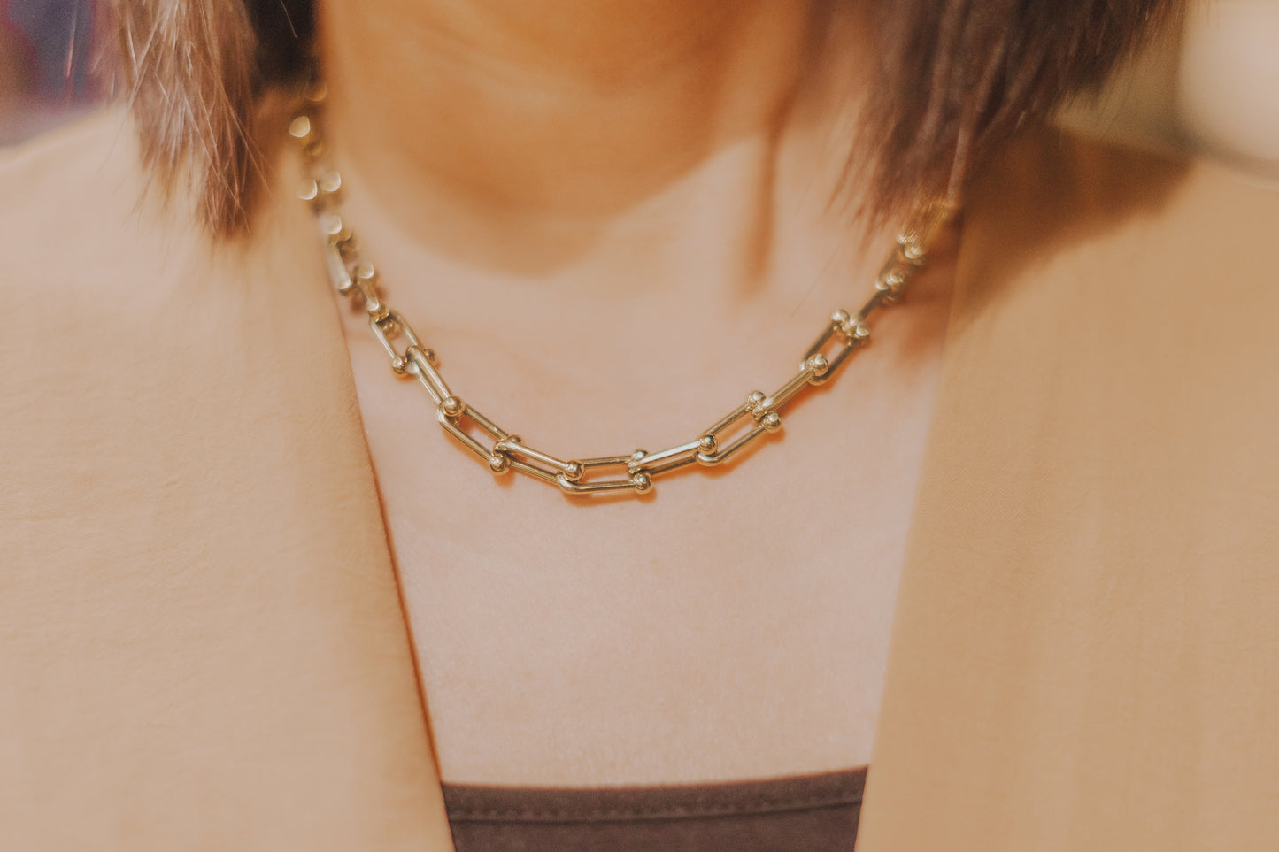 Anya Single Chunky Chain Necklace