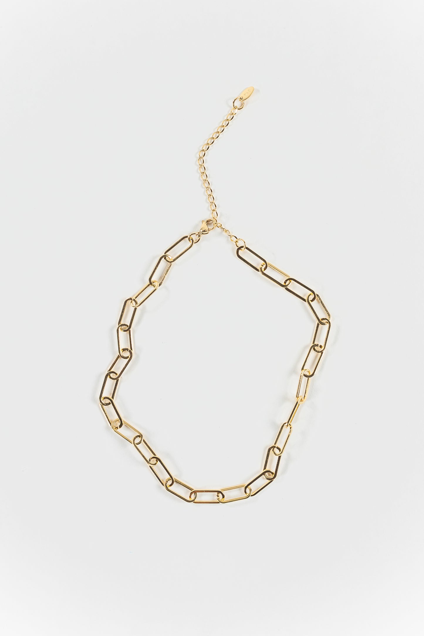 Anika Single Chain Necklace