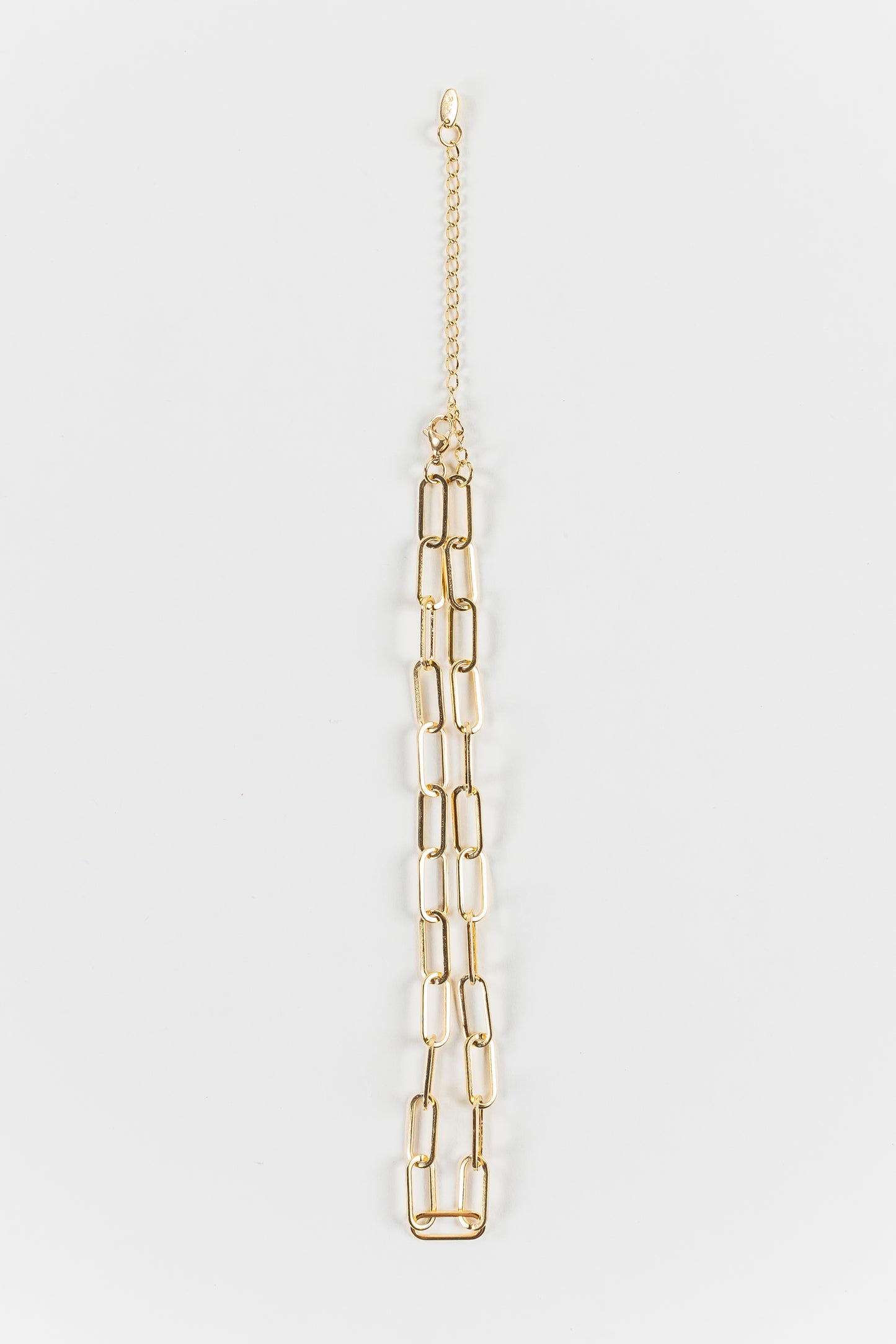 Anika Single Chain Necklace