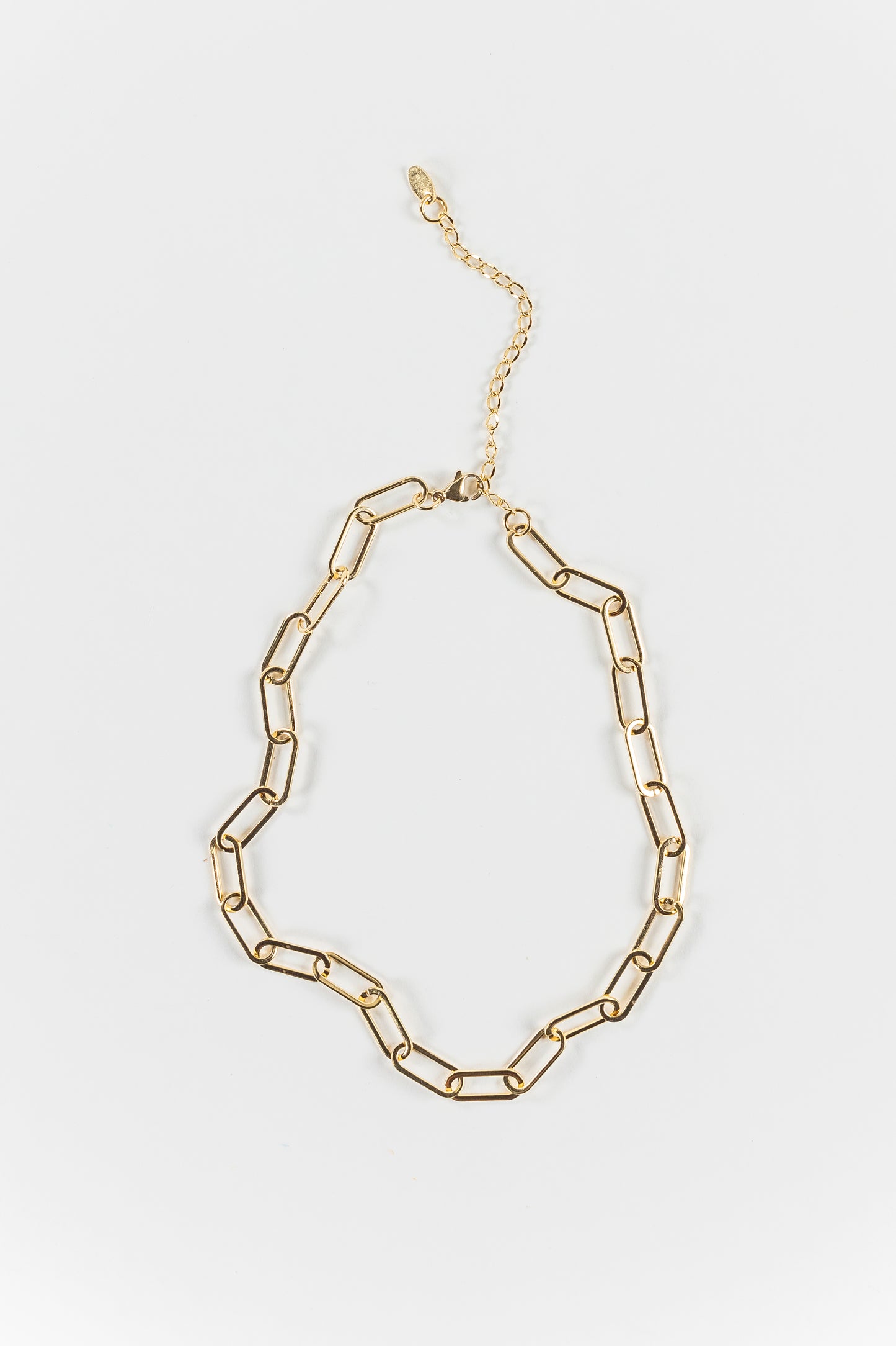 Anika Single Chain Necklace